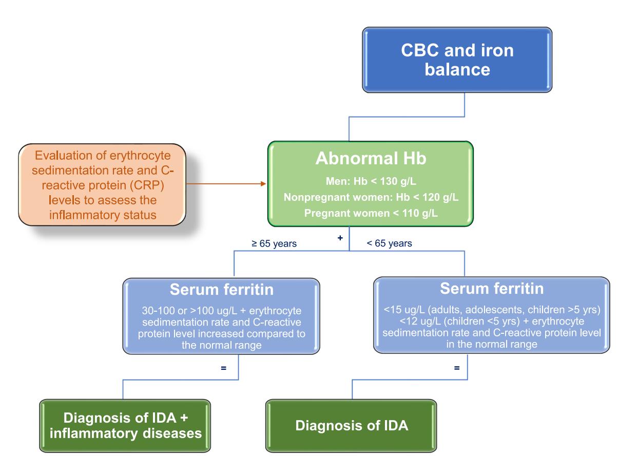 【Diagnostic Algorithm for Iron Deficiency Anemia】缺铁性贫血诊断流程图