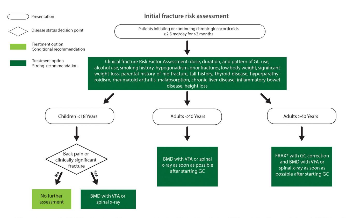 【2022 American College of Rheumatology Guideline for the Prevention and Treatment of Glucocorticoid-Induced Osteoporosis】Initial fracture risk assessment algorithm for patients on chronic glucocorticoids