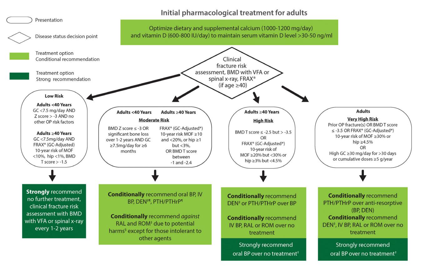 【The 2024 UK clinical guideline for the prevention and treatment of osteoporosis】Initial pharmacological treatment for adults at risk of fractures