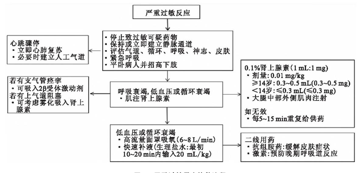 【《 β内酰胺类抗菌药物皮肤试验指导原则 (2021年版)》 要点解读】严重过敏反应急救流程图