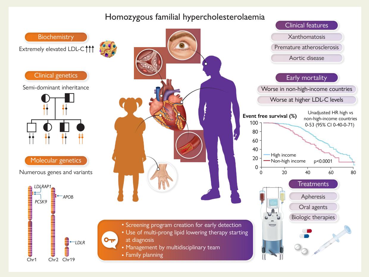 【2023 Update on European Atherosclerosis Society Consensus Statement on Homozygous Familial Hypercholesterolaemia: new treatments and clinical guidance】Infographic