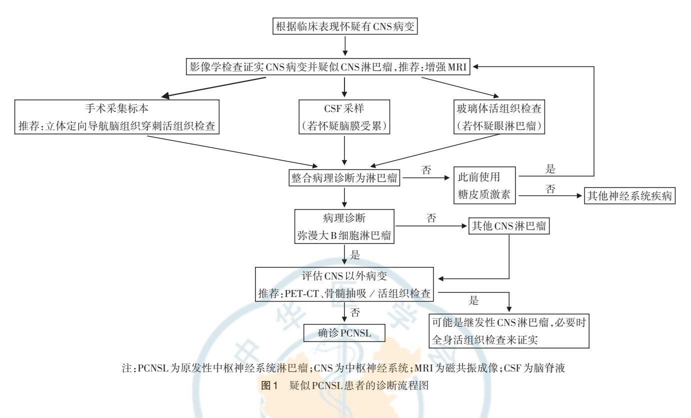 【原发性中枢神经系统淋巴瘤诊断及治疗专家共识(2024年版)】疑似原发性中枢神经系统淋巴瘤(PCNSL)诊断流程图