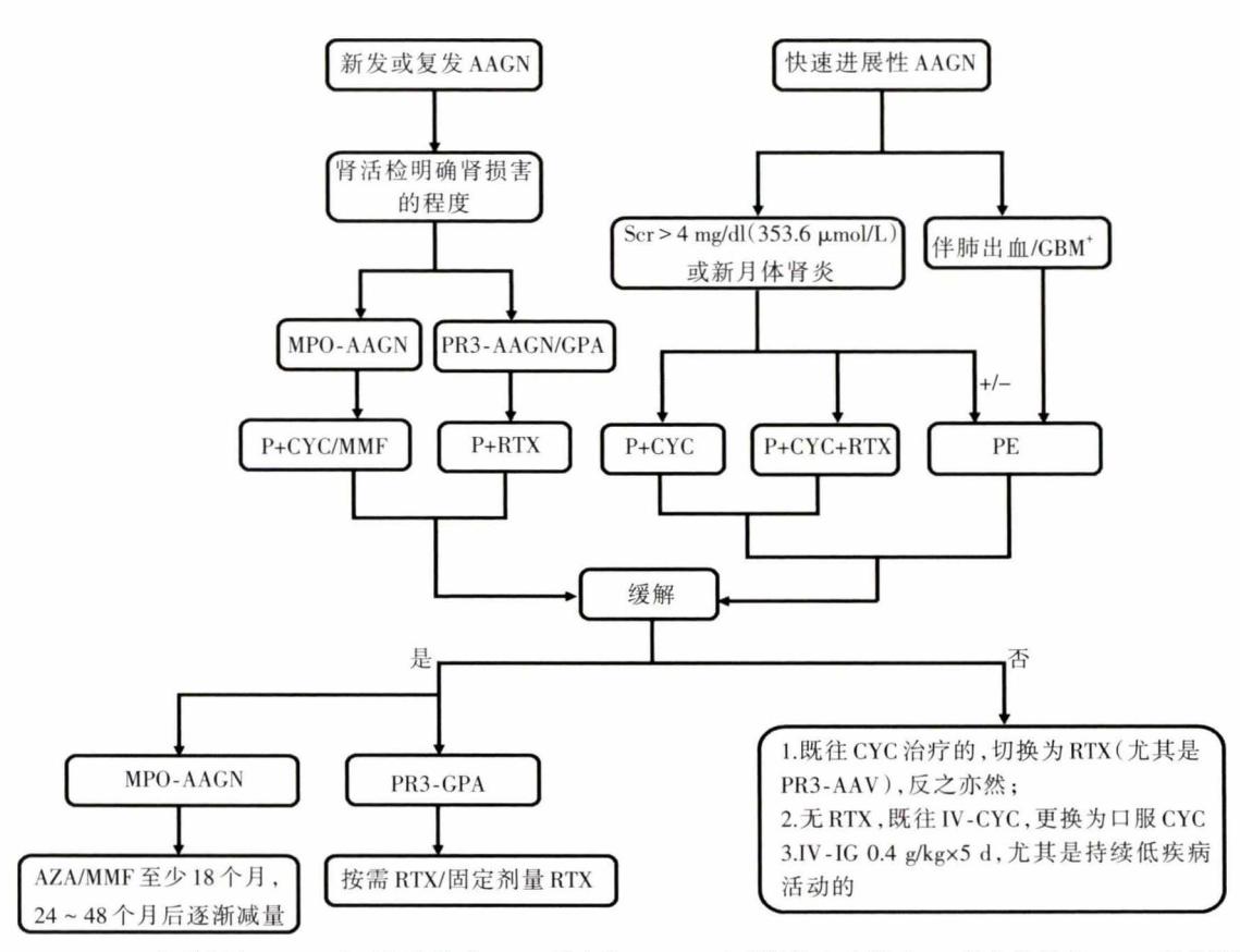 【抗中性粒细胞胞质抗体相关肾炎诊断和治疗中国指南】ANCA相关性肾小球肾炎(AAGN)诊疗路径图