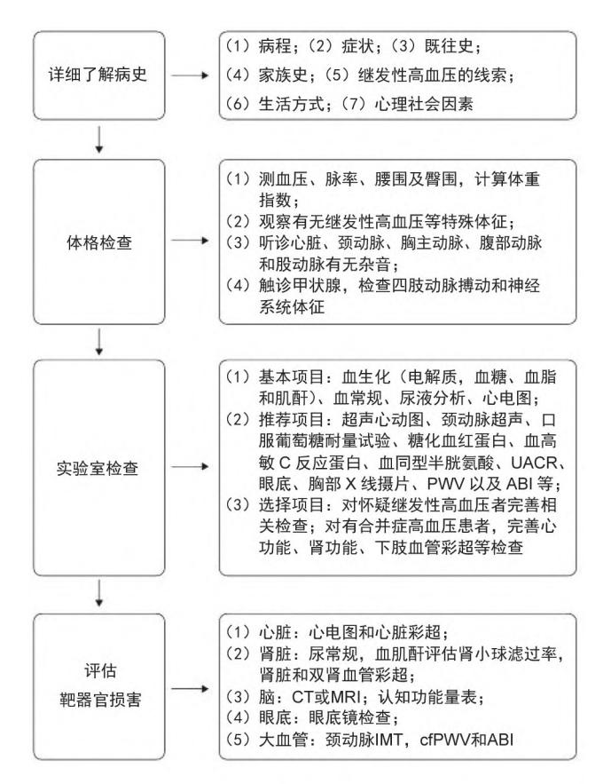 【中国高血压防治指南(2024年修订版)】高血压初步诊断评估简易流程图