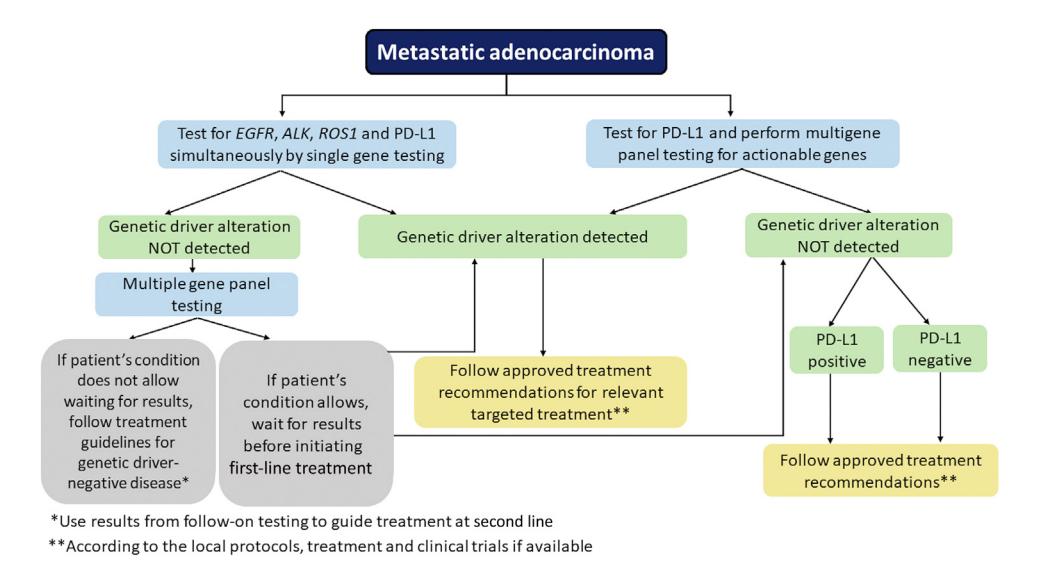 image_category: FLOWCHART/Clinical decision algorithm for molecular testing | body_region: NA | specialty: Oncology | summary: A clinical flowchart outlining the molecular testing strategy and subsequent treatment pathways for metastatic adenocarcinoma based on genetic driver alterations and PD-L1 status. | detail: This clinical flowchart details the diagnostic and therapeutic algorithm for managing metastatic adenocarcinoma, likely in the context of non-small cell lung cancer (NSCLC). The process initiates with two primary diagnostic pathways: the first involves simultaneous single-gene testing for EGFR, ALK, ROS1, and PD-L1 expression, while the second utilizes a comprehensive multigene panel alongside PD-L1 testing to identify actionable mutations. If a genetic driver alteration is identified, the patient is transitioned to approved targeted treatment protocols. Conversely, if single-gene testing is negative, the protocol mandates a follow-up multigene panel. Clinical urgency plays a role here; patients with deteriorating conditions may start treatment for driver-negative disease immediately, whereas stable patients are advised to wait for panel results to optimize first-line therapy. For those confirmed negative for genetic drivers after multigene testing, the treatment path is further stratified by PD-L1 status (positive vs. negative), both leading to approved standard-of-care recommendations or clinical trials. This structured approach highlights the clinical significance of molecular profiling in precision oncology, ensuring that patients receive the most effective therapy based on their tumor's unique genomic profile. Key biomarkers mentioned include EGFR, ALK, ROS1, and PD-L1, which are essential for determining eligibility for tyrosine kinase inhibitors or immunotherapy. | entities: diseases=Metastatic adenocarcinoma, genetic driver-negative disease; interventions=single gene testing, multigene panel testing, targeted treatment, first-line treatment, molecular testing; biomarkers=EGFR, ALK, ROS1, PD-L1, genetic driver alteration; findings=Genetic driver alteration detected, Genetic driver alteration NOT detected, PD-L1 positive, PD-L1 negative