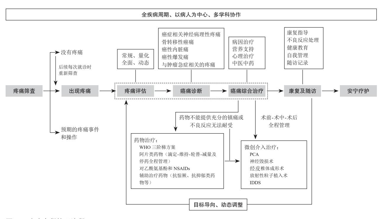癌痛全程管理流程图