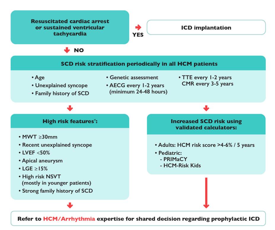image_category: FLOWCHART/Clinical Management Algorithm | body_region: chest | specialty: Cardiology | summary: A clinical decision flowchart for Sudden Cardiac Death (SCD) risk stratification and ICD implantation criteria in patients with Hypertrophic Cardiomyopathy (HCM).
