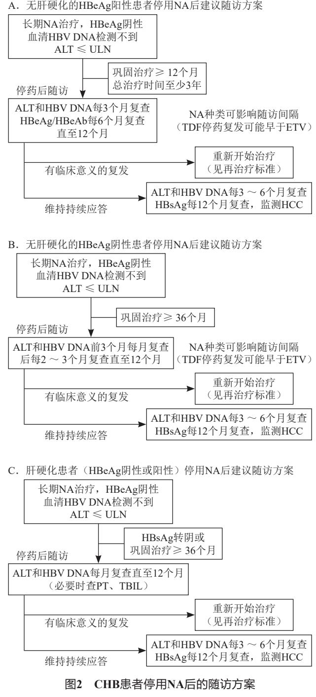 慢性乙型肝炎停药随访临床路径图