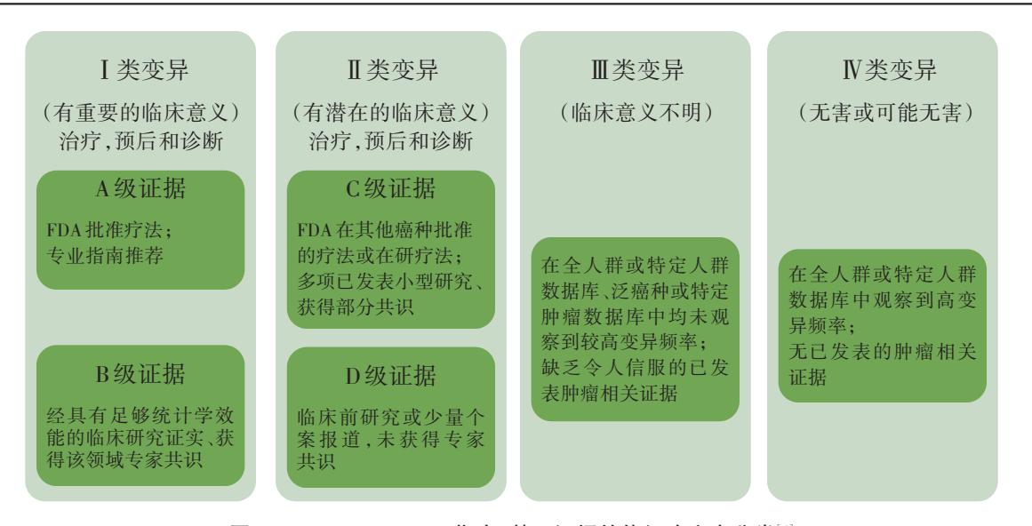 【循证医学】肿瘤二代测序临床报告解读共识