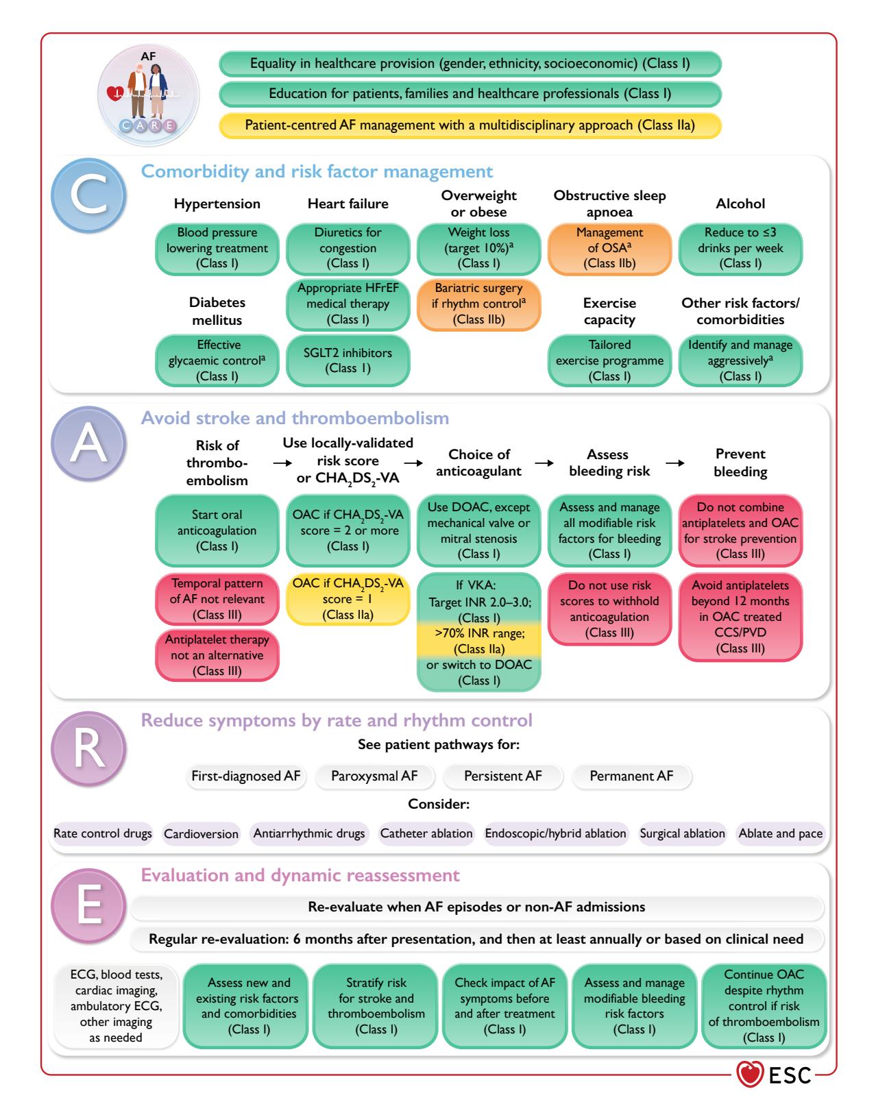 【2024 ESC Guidelines for the management of atrial fibrillation developed in collaboration with the European Association for Cardio-Thoracic Surgery (EACTS): Developed by the task force for the management of atrial fibrillation of the European Society of Cardiology (ESC), with the special contribution of the European Heart Rhythm Association (EHRA) of the ESC. Endorsed by the European Stroke Organisation (ESO) 】Clinical Management Guideline