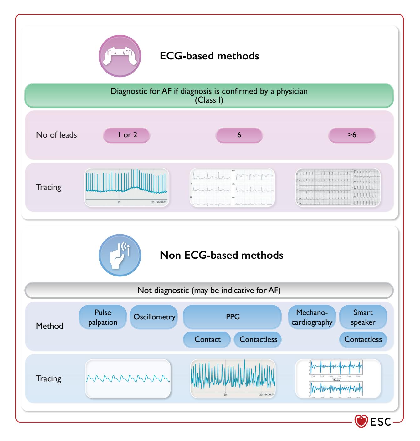 【2024 ESC Guidelines for the management of atrial fibrillation developed in collaboration with the European Association for Cardio-Thoracic Surgery (EACTS): Developed by the task force for the management of atrial fibrillation of the European Society of Cardiology (ESC), with the special contribution of the European Heart Rhythm Association (EHRA) of the ESC. Endorsed by the European Stroke Organisation (ESO) 】Clinical Guideline Infographic