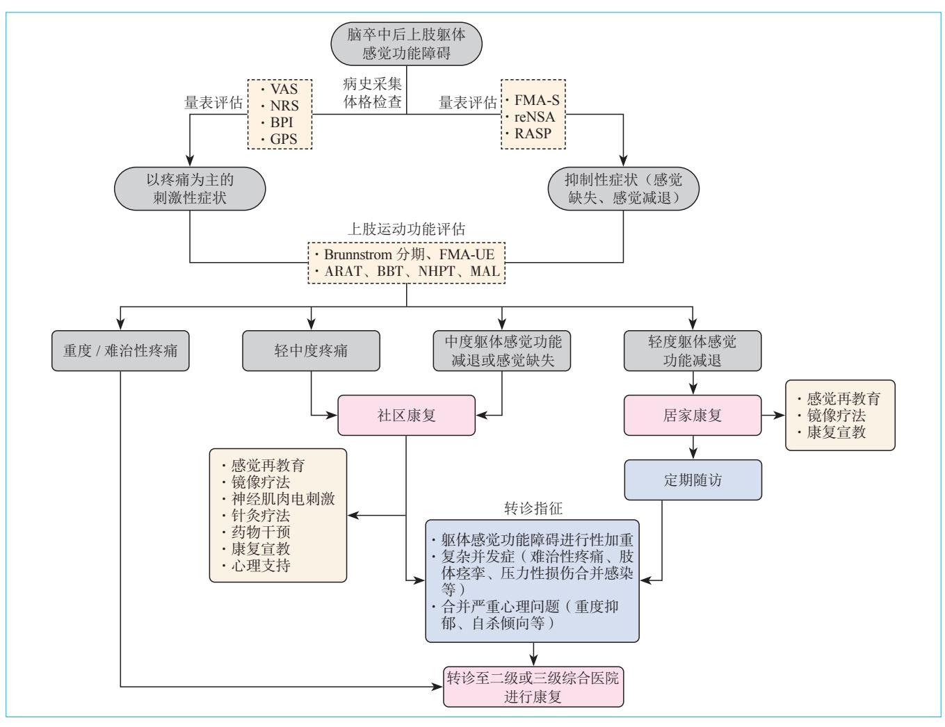 【社区脑卒中患者上肢躯体感觉功能障碍康复中国专家共识】脑卒中后上肢躯体感觉功能障碍临床诊疗流程图