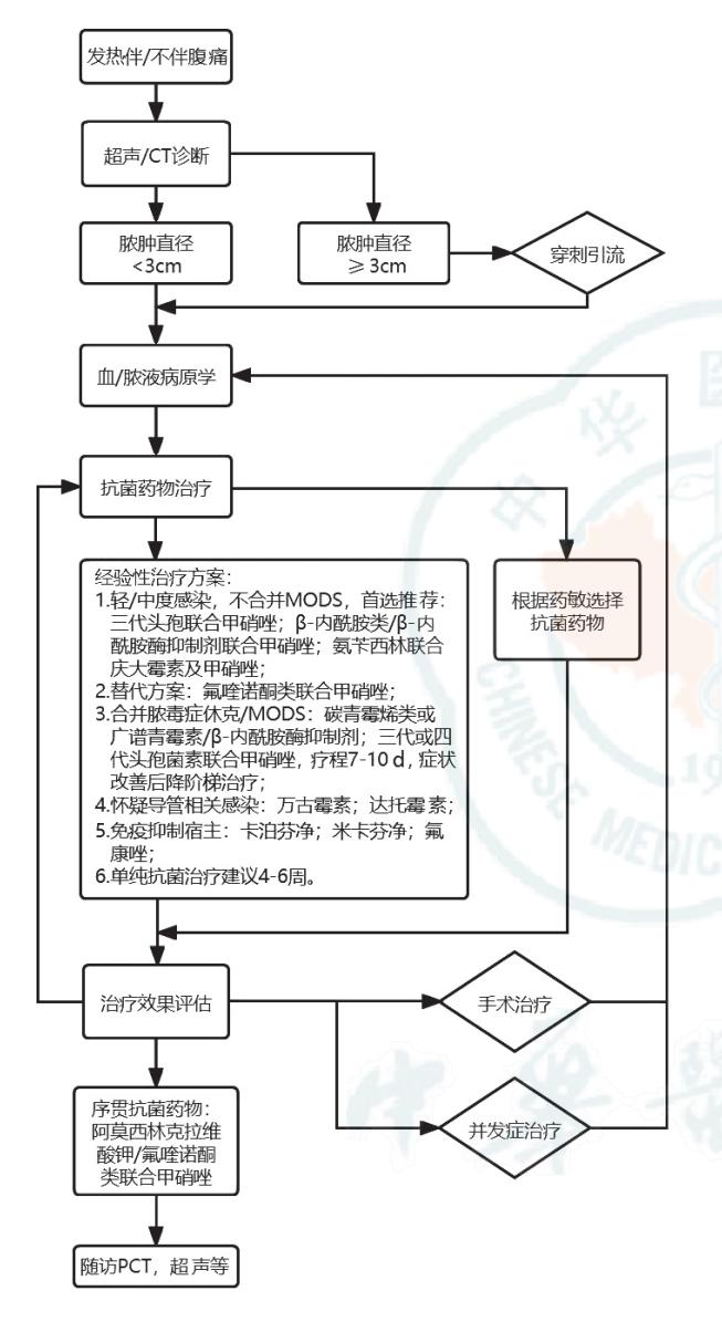 【细菌性肝脓肿诊治急诊专家共识】临床诊疗路径图
