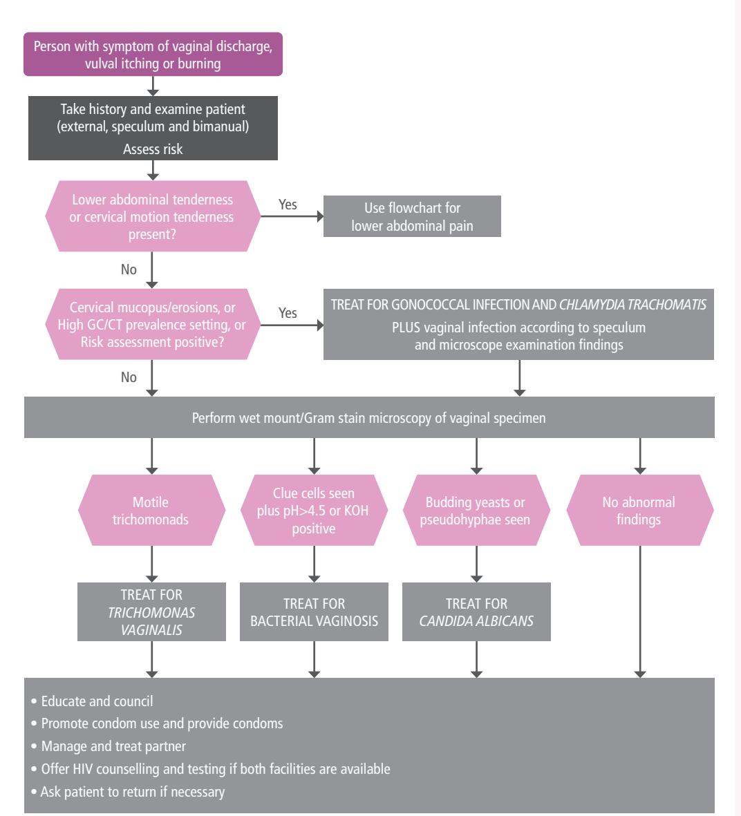 【WHO/STI Guidelines】Vaginal Discharge Syndrome Management Flowchart