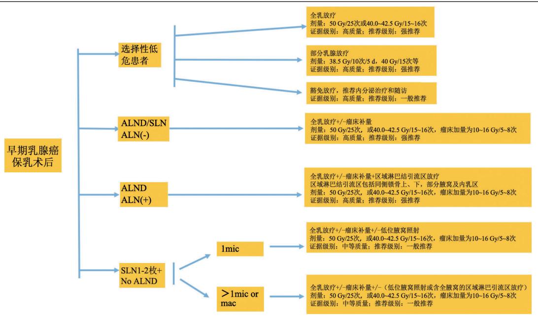 早期乳腺癌保乳术后放疗决策流程图