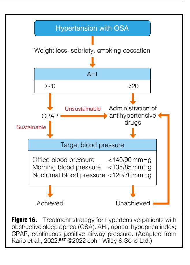 【2023 JCS指南:心血管疾病睡眠呼吸障碍的诊断和治疗】Treatment strategy for hypertensive patients with OSA