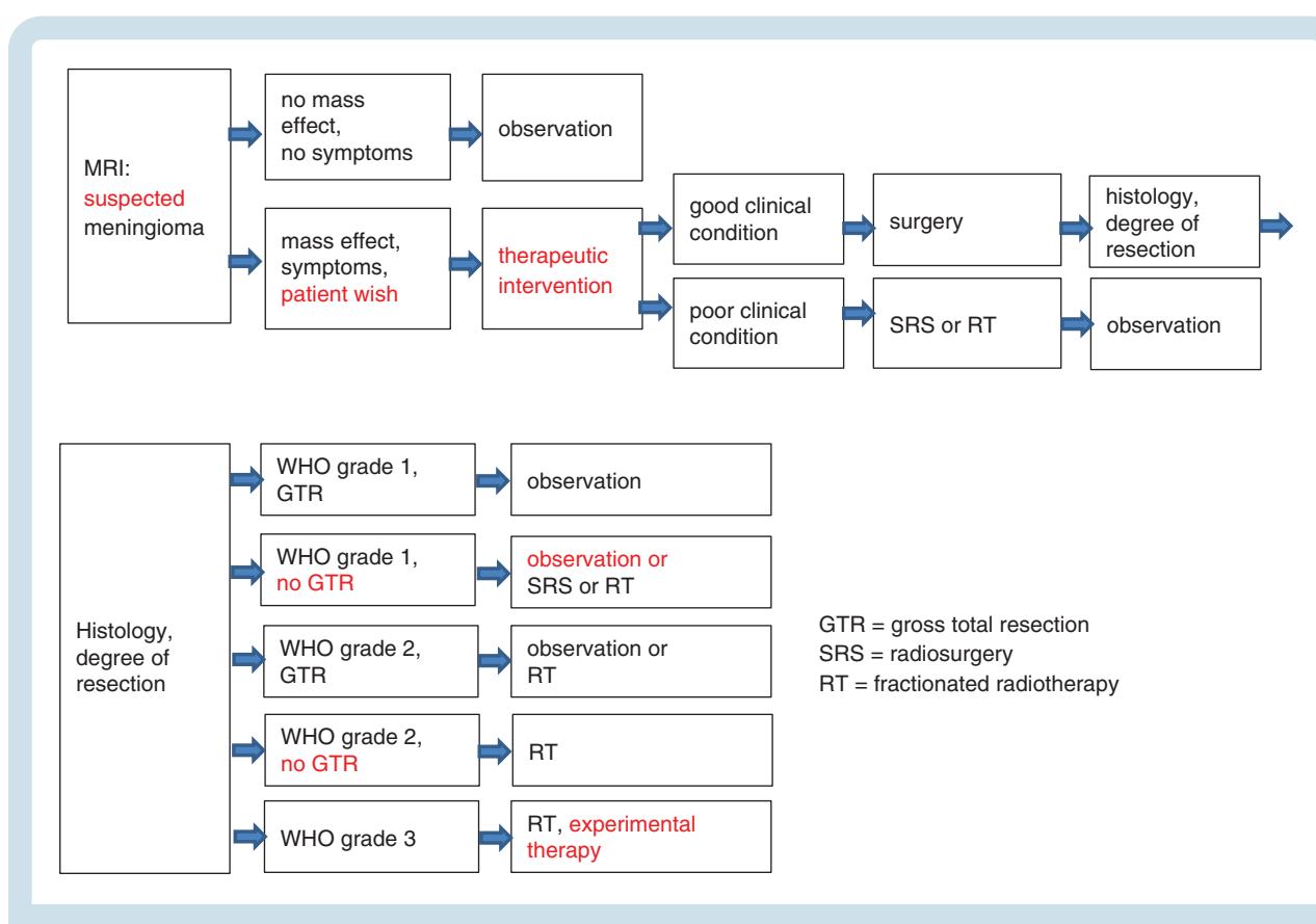 【EANO Guidelines for Meningioma Management】Clinical Management Algorithm