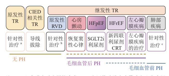 【三尖瓣反流经导管治疗的中国专家共识】三尖瓣反流分类与治疗流程图