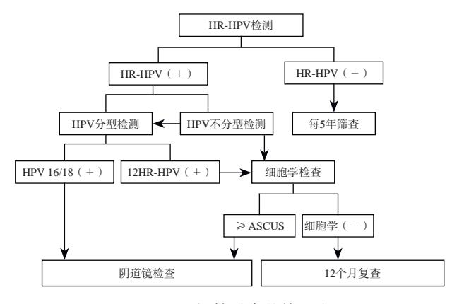 【中国子宫颈癌筛查指南】HR-HPV检测初筛阳性分流路径