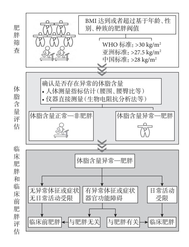 【肥胖诊断与评估流程图】肥胖诊断与评估流程图