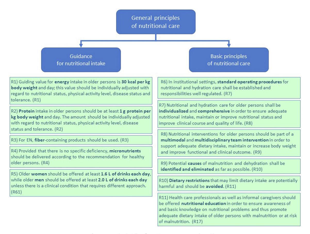 【ESPEN Guideline】General Principles of Nutritional Care for Older Persons