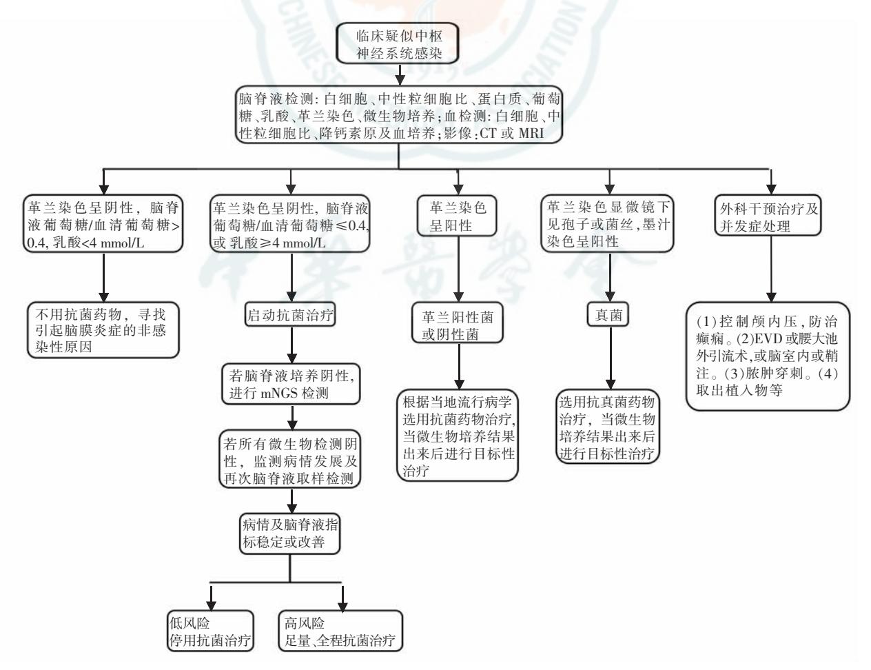 FLOWCHART/临床诊疗路径图