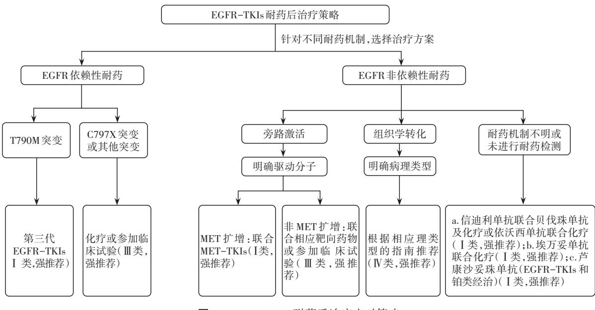 image_category: FLOWCHART/肺癌靶向治疗耐药处理流程图 | body_reg...