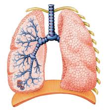 Arcapta Neohaler获准治疗COPD