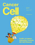 Cancer Cell：区分肾癌亚型 有前景的<font color="red">新药</font><font color="red">靶</font><font color="red">点</font>