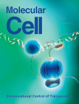 Cell：启动癌细胞对糖嗜好的<font color="red">丙酮酸</font>脱氢酶激酶或为抗癌靶标