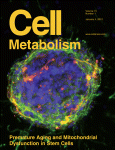Cell Metab：响应因子（<font color="red">Srf</font>）是肌肉强壮生长关键要素