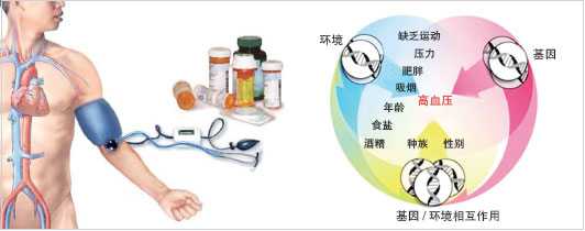 2011年中国心血管病领域领域关键进展汇总