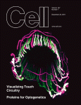 Cell：鉴定出非小细胞肺癌<font color="red">癌基因</font>GLDC