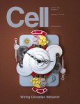 Cell：阻断<font color="red">端粒酶</font>能杀死癌细胞 却会产生耐药