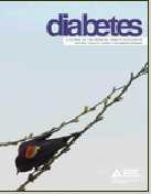 Diabetes：发现与I型糖尿病相关联的基因表达谱