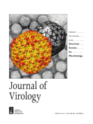 J. Virol.：雄激素促进乙肝病毒复制