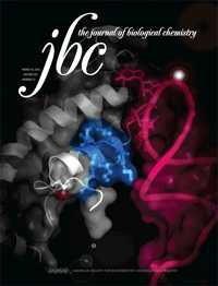 JBC：神经元代谢以及变性疾病中TDP-43及FUS的作用