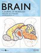 Brain：研究发现实验鼠部分脑神经<font color="red">自我</font>修复的机制