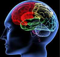Science/Nature：两项研究揭示脑细胞或可被操控产生错误记忆