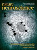 Nat Neurosci：研究发现秀丽隐杆线虫应对氧浓度行为调节机制