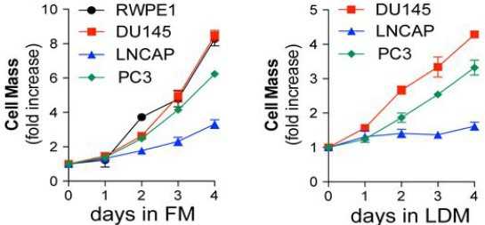 Cancer Discov.：揭示酶PFKFB4在前列腺癌细胞存活中起关键作用
