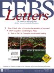 FEBS Letters：癌症抑制相关因子RBM5有效促进<font color="red">DHX</font>15解旋酶活性