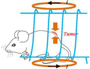 Theranostics：<font color="red">纳米粒子</font>和交变磁场杀死小鼠体内癌细胞