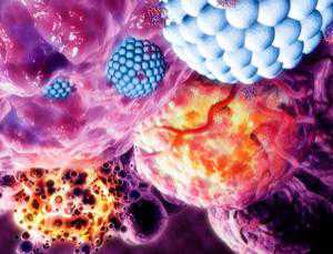 Sci Transl Med：纳米粒携带抗癌药可有效抵御癌症发展