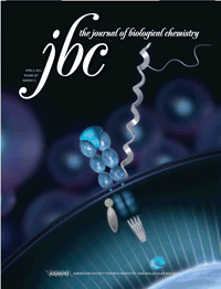 JBC：科学家发现癌细胞抗氧化应激损伤的机制