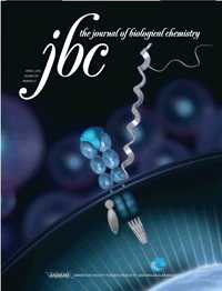 JBC：发现新的癌症治疗靶点