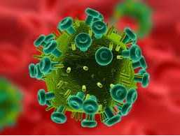 NEJM：<font color="red">艾滋病</font>疫苗研究获新发现