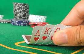 Mol Psych：科学家研究揭示赌博成瘾机制