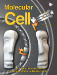 Mol Cell：赖氨酰氧化<font color="red">酶</font><font color="red">样</font><font color="red">蛋白</font>2脱去组<font color="red">蛋白</font>H<font color="red">3</font>的氨基