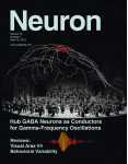 Neuron：新药可逆转实验<font color="red">鼠</font>脆性X染色体综合<font color="red">征</font>症状